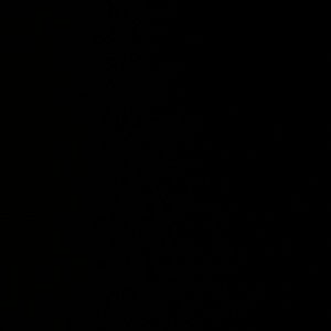 Meet your Posher, Jackson